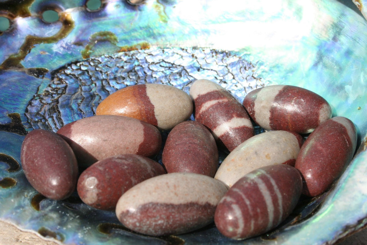 Shiva Lingam Rock Specimen - Buy Shiva Lingam Rock Specimen – New Age Guru